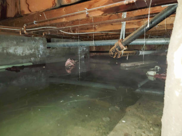 Best Commercial water damage restoration  in Mount Shasta, CA