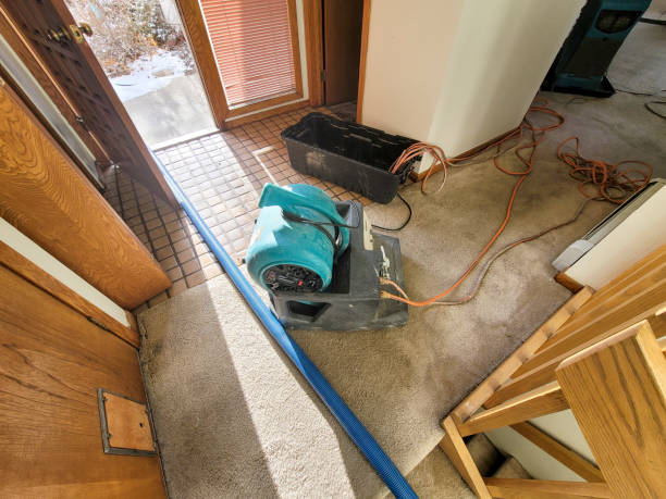 Sewage cleanup and water damage restoration in Mount Shasta, CA