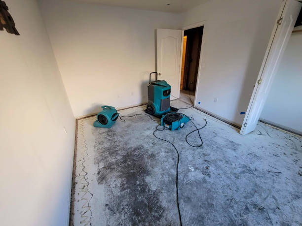 Reliable Mount Shasta, CA Water damage restoration Solutions