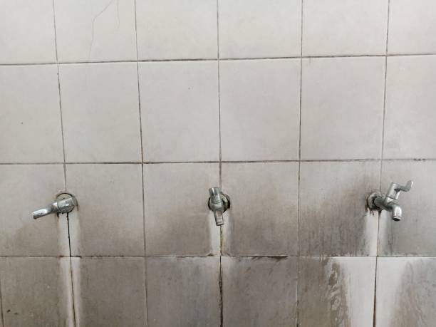 Best Residential water damage restoration  in Mount Shasta, CA