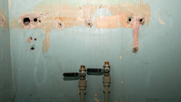 Best Carpet water damage restoration  in Mount Shasta, CA