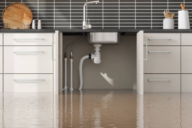 Best 24-hour water damage restoration  in Mount Shasta, CA