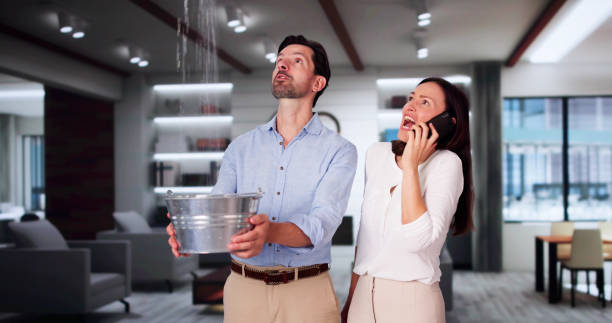 Best Flood damage cleanup  in Mount Shasta, CA