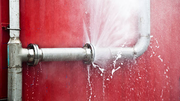  Mount Shasta, CA Water damage restoration Pros